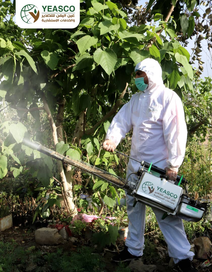 fumigation and sterilization